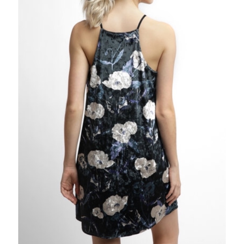 Sam & Lavi Velvet Dress - Picture 3 of 8